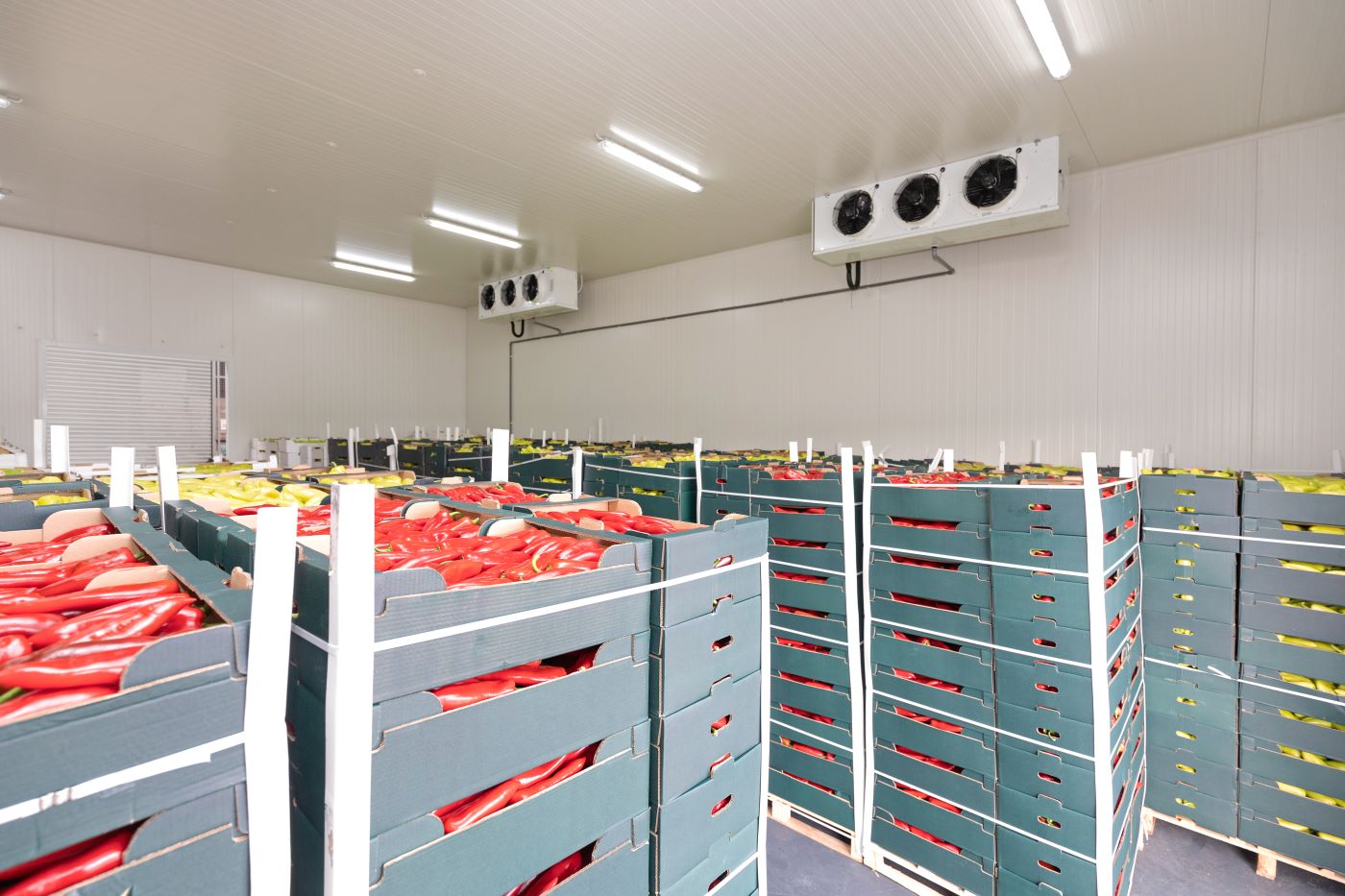 refrigeration unit with fresh produce in boxes